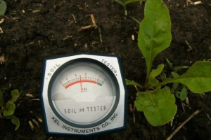 Кислотність грунтів Кислотність грунтів